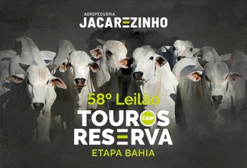 58º LEILÃO TOUROS RESERVA - AGROPECUARIA JACAREZINHO - ETAPA BAHIA