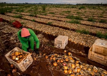 Em semana de votação histórica, governo abre ofensiva contra medidas que ajudam produtor rural