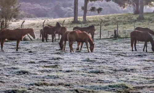 Frente fria, ciclone e ar polar podem marcar a semana mais fria de 2026