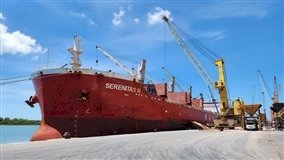 O dado que desmonta a crítica ao agro sobre a China