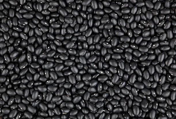 Mercado de feijão mantém segmentação e preços variam conforme a qualidade do produto