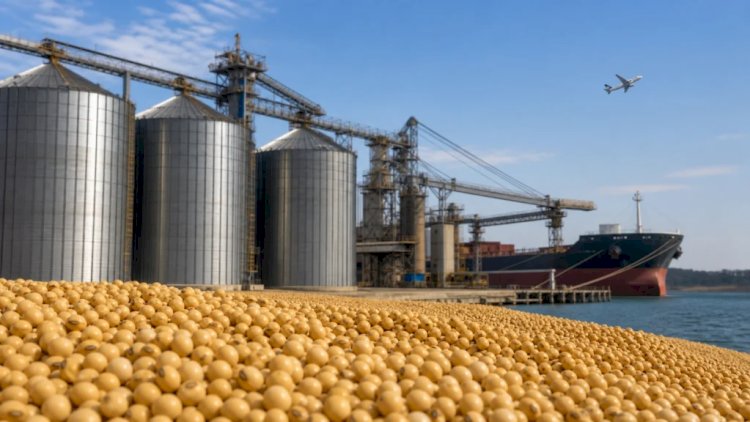 Fretes e falta de espaço desafiam o mercado da soja