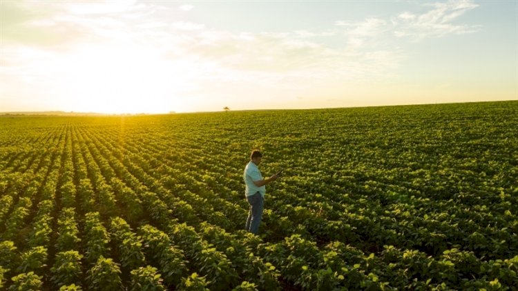Gigante do agro inicia nova fase focada no Brasil