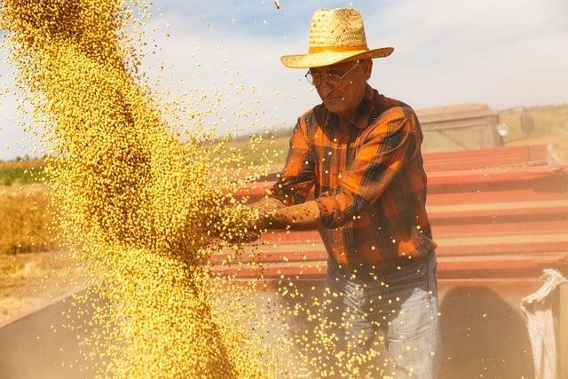 CNA orienta produtores sobre nova linha para renegociação de dívidas rurais