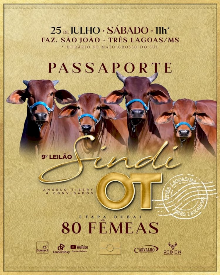 9° Leilão Sindi OT