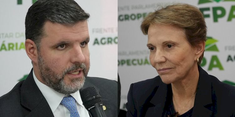 Acordo Mercosul-UE: oportunidade comercial ou risco para o agro brasileiro?
