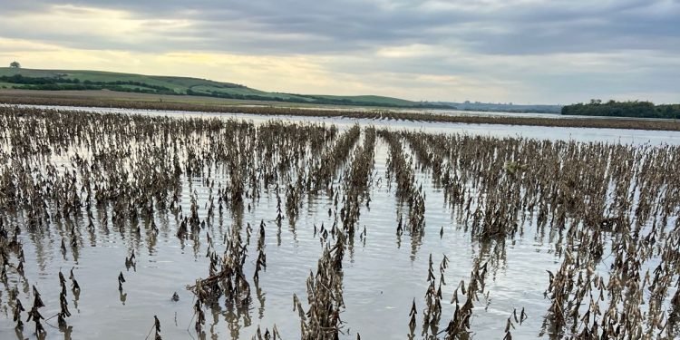Entidades do agro cobram celeridade na operacionalização da MP das dívidas rurais