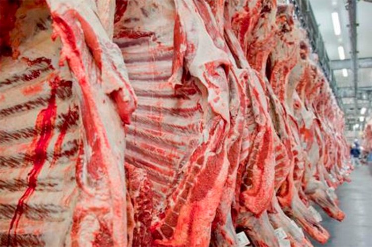 Carne bovina: Queda nos volumes exportados é suavizada por preços internacionais firmes