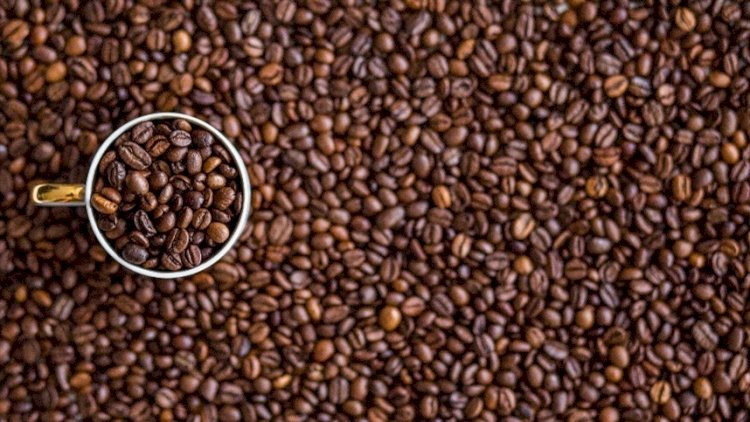 Cotação do Café hoje