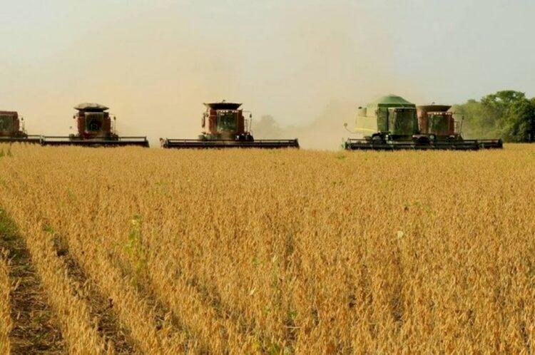 Agro responde por quase 94porcento das exportações do Tocantins e movimenta US$ 1,13 bilhão
