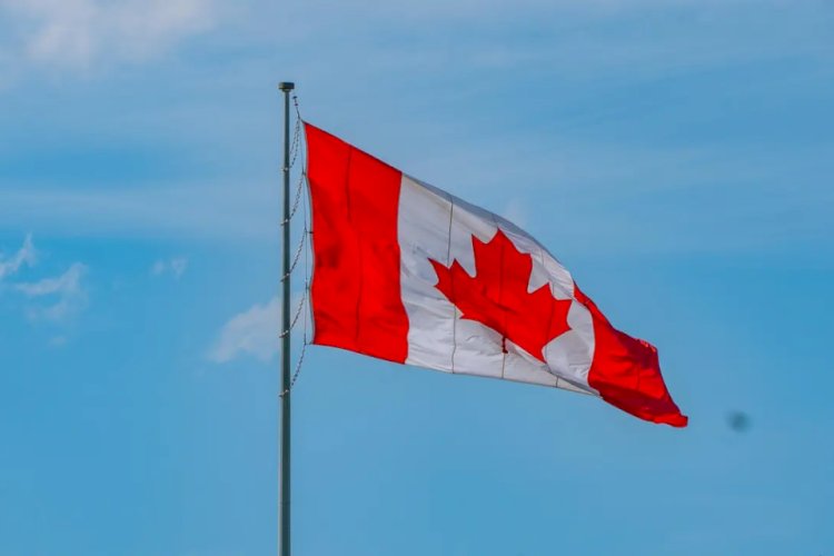 Após EUA impor tarifa de 50porcento, Canadá anuncia retaliação aos americanos