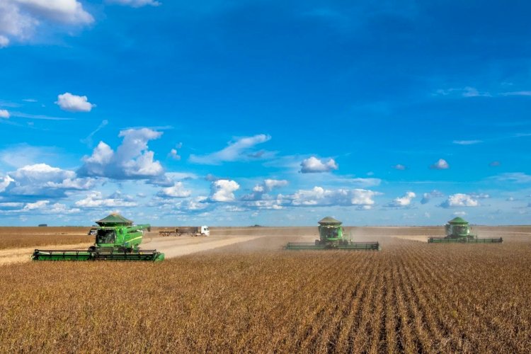 Três estados do Matopiba somam cerca de 5 milhões de hectares de soja, aponta levantamento
