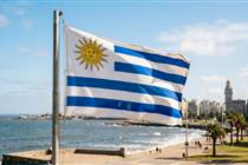 Uruguai: país produz e exporta mais leite do que nunca em sua história