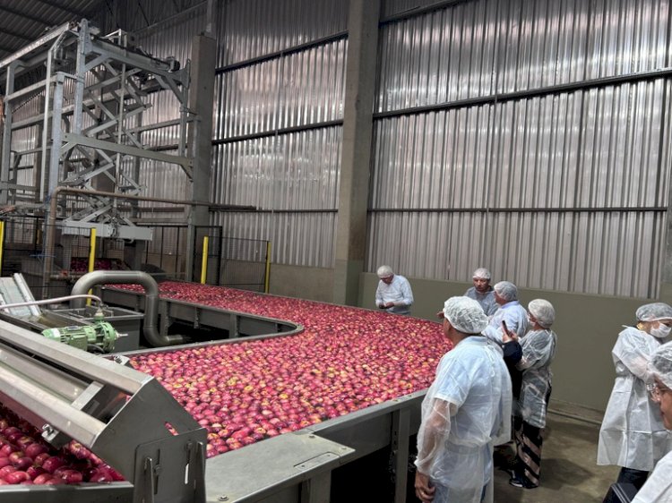 Preços da indústria caem 0,83porcento em julho, mostra IBGE