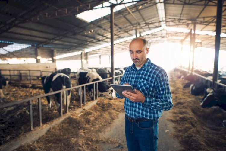 Falso empresário é preso após golpes de R$ 150 mil contra produtores rurais em Goiás