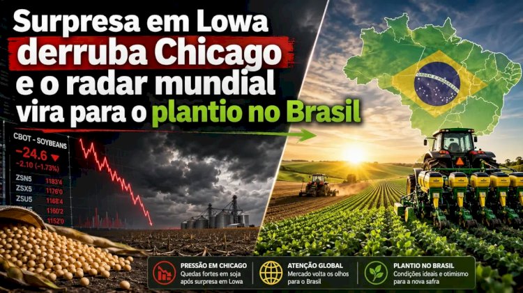 Surpresa em Lowa derruba Chicago e o radar mundial vira para o plantio no Brasil