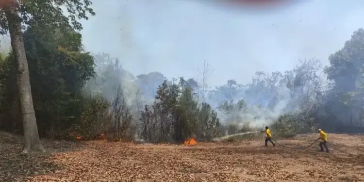 Produtores rurais devem se adequar a novas regras de prevenção a incêndios; entenda as exigências