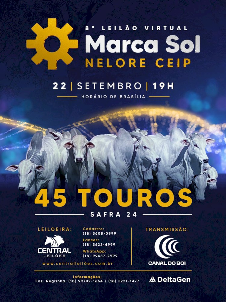8º LEILÃO MARCA SOL