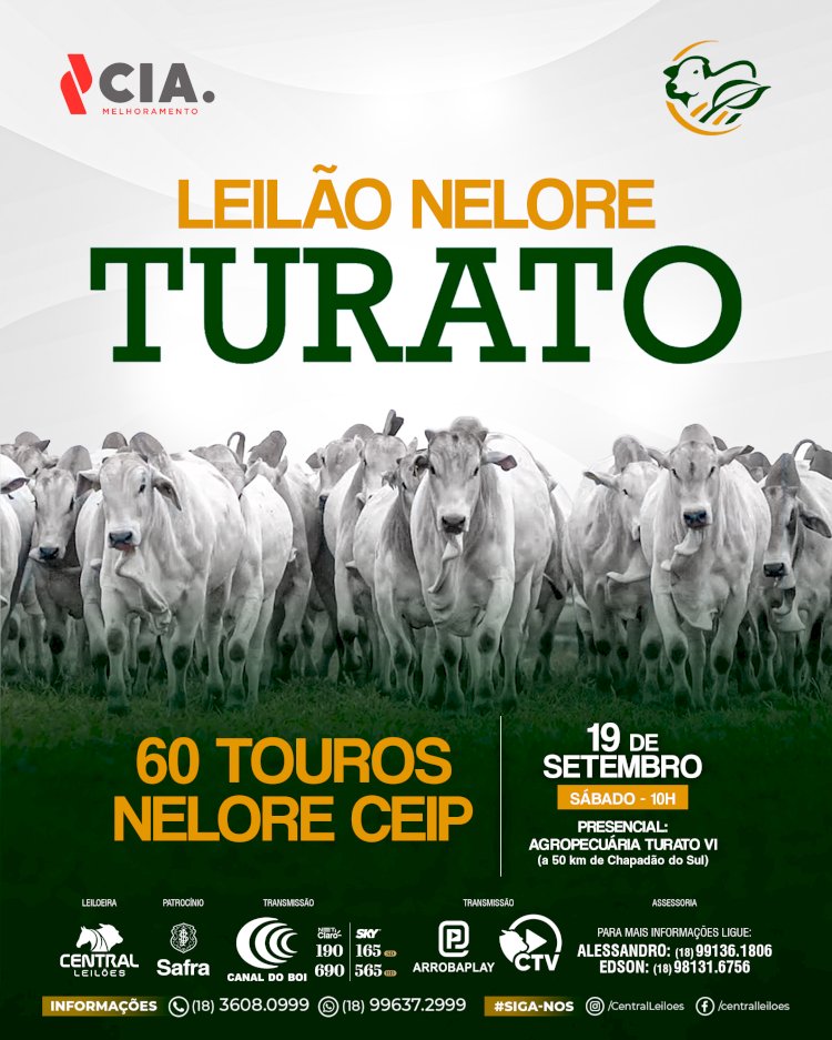 LEILÃO NELORE TURATO