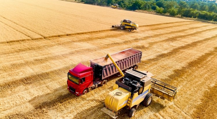Grãos avançam com oferta global sob maior pressão
