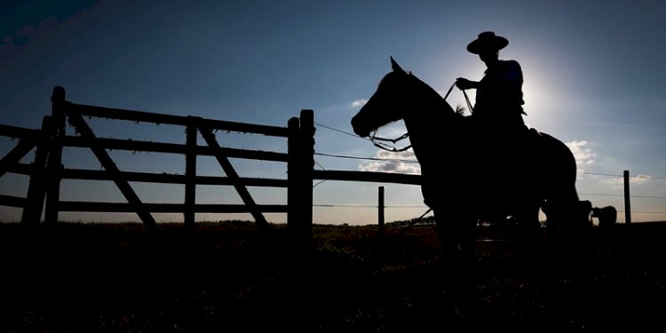 “Estamos fugindo da contratação”: o que tem levado o produtor a evitar Seguro Rural?