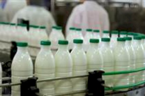 Exportações de lácteos da Argentina batem recorde de quase US$ 1 bi, Brasil é o principal destino