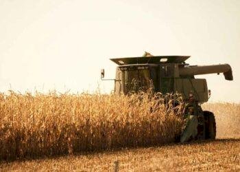 Mercados agrícolas iniciam dia com sinais mistos