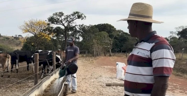 De duas vacas a mil litros de leite por dia: família prospera na pecuária com apoio do Senar-Go