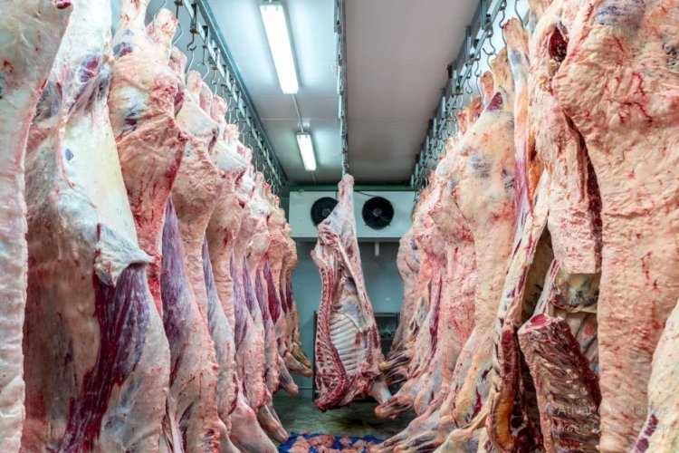 Tocantins está entre estados com novos frigoríficos habilitados a exportar carne bovina para a Indonésia