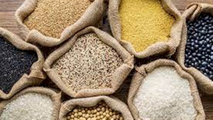 Safra 2025/26: produção de grãos cresce 2,6porcento no Brasil