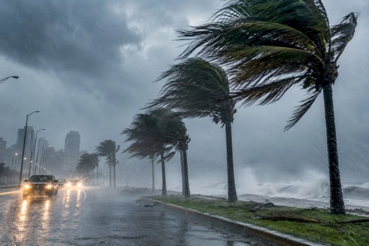 Ciclone e frente fria provocam chuva de 200 mm e ventos de 90km/h