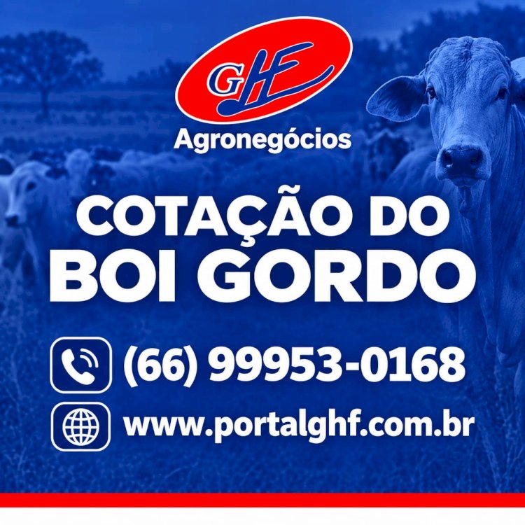 Leitura rápida: consulte os principais indicadores da pecuária