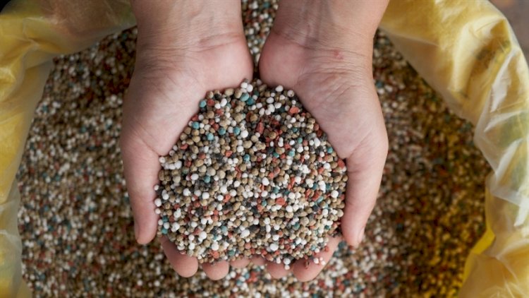 Fertilizantes já estão contratados para 90porcento da soja