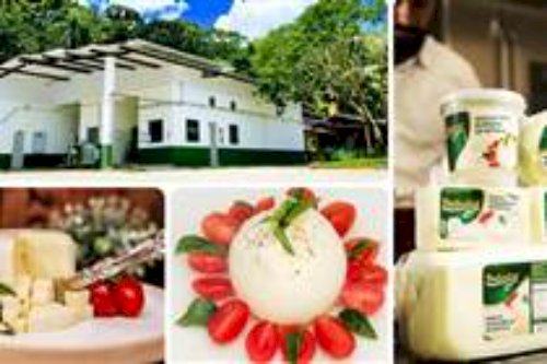 Do leite de búfala à burrata: conheça a trajetória da Bubalat em Minas Gerais