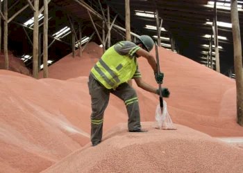 Pedidos de crédito para fertilizantes disparam 190porcento e chegam a R$ 2,9 bilhões no BNDES