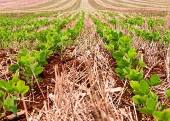 Inadimplência do crédito rural atinge recorde histórico e preocupa produtores
