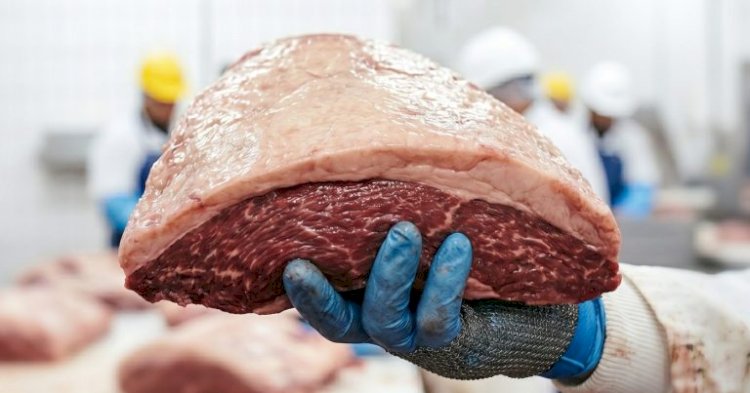 ARTIGO | Picanha não vem de boi vivo