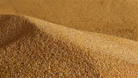Custo do milho sobe 14,61porcento em Mato Grosso