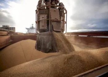 Soja tem previsão de exportação reduzida, mas milho pode crescer mais de 20porcento em outubro