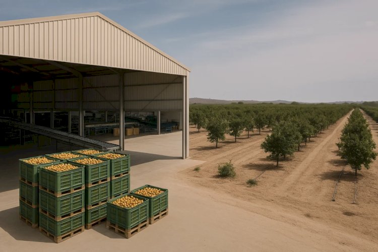 CNA discute exportações, capacitação e sanidade da fruticultura em Juazeiro