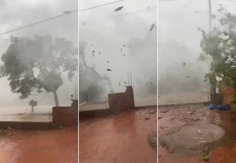 Ventania derruba árvores e deixa casas destelhadas durante temporal em Araguaína